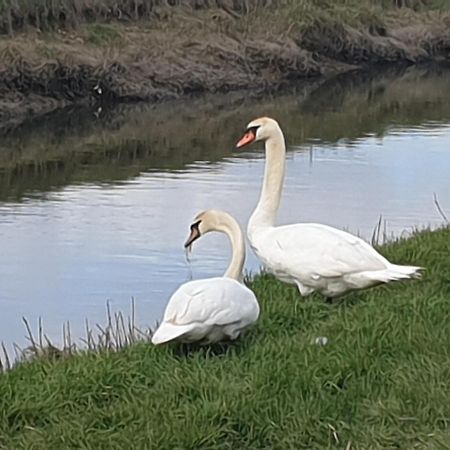 Delightful Cottage On The River Adur Close To Brighton & The Downs No Dogs Sorry Upper Beeding 외부 사진