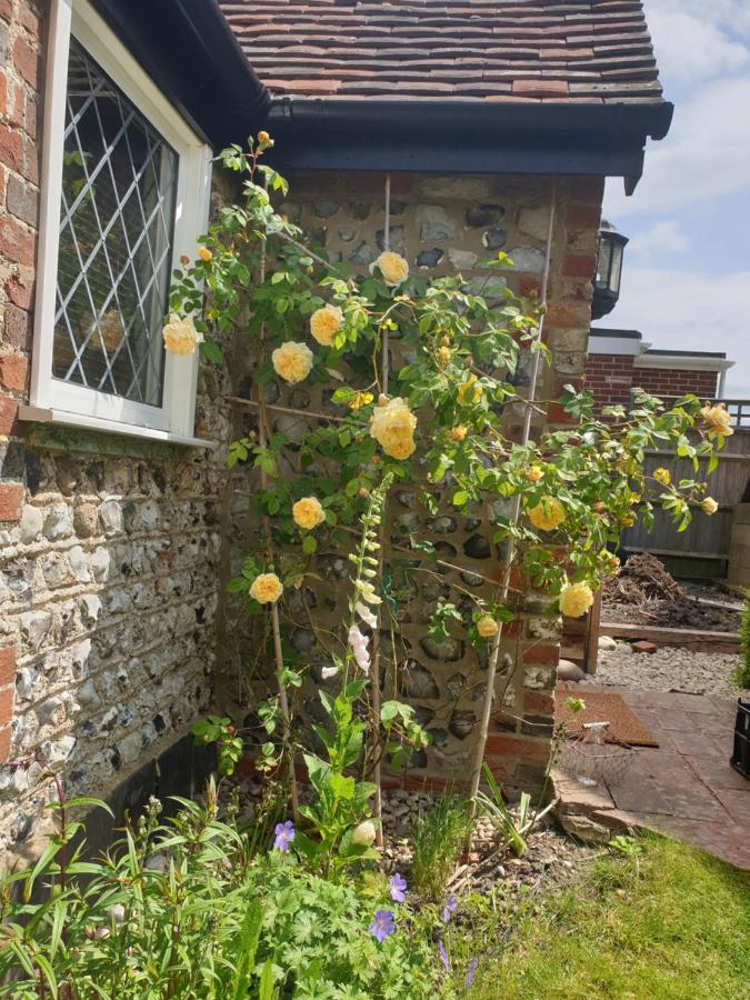 Delightful Cottage On The River Adur Close To Brighton & The Downs No Dogs Sorry Upper Beeding 외부 사진