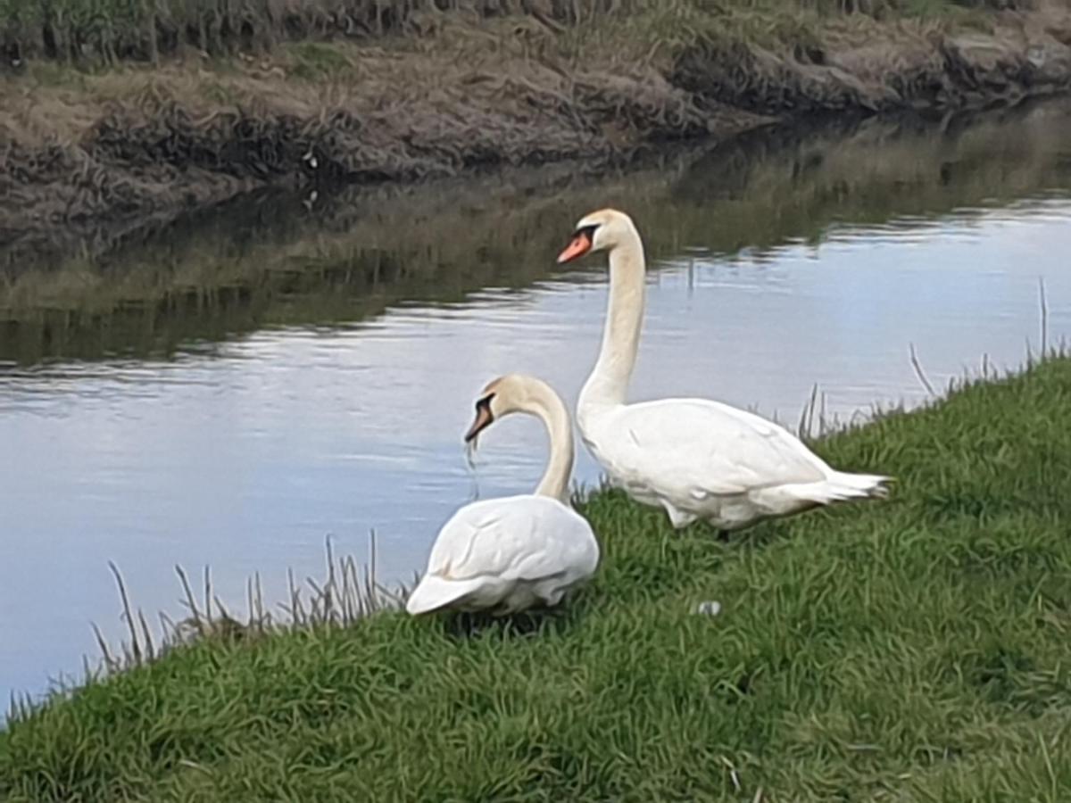 Delightful Cottage On The River Adur Close To Brighton & The Downs No Dogs Sorry Upper Beeding 외부 사진